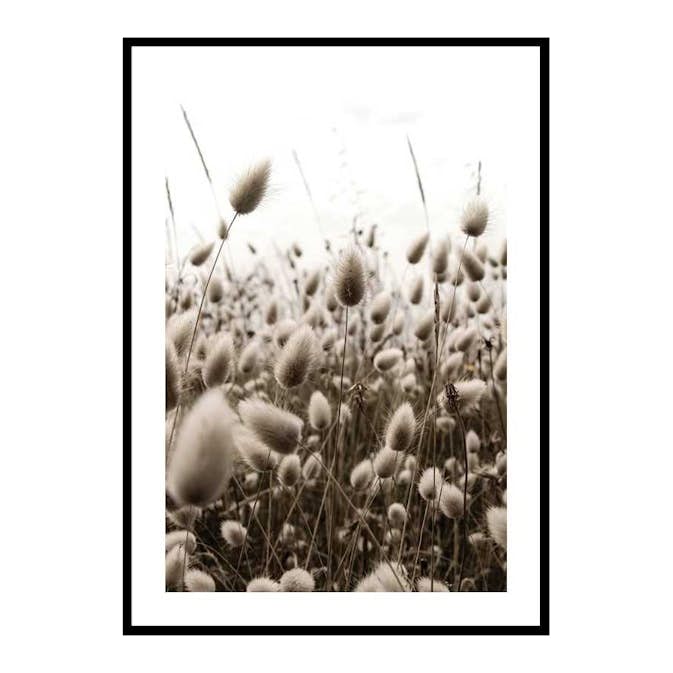 Poster Gallerix Reeds Field