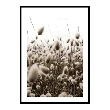 Poster Gallerix Reeds Field