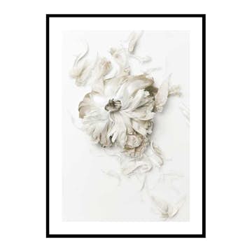 Poster Gallerix Peony Petals No1