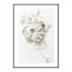 Poster Gallerix Peony Petals No1