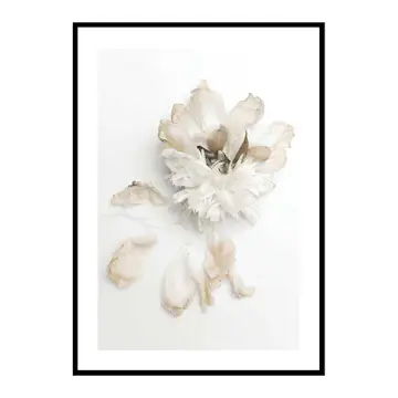 Poster Gallerix Peony Petals No2