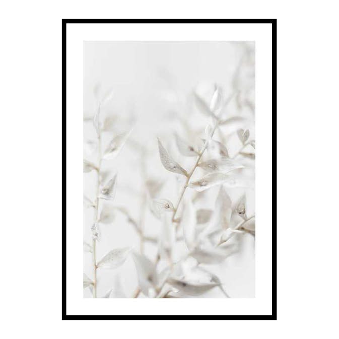 Poster Gallerix White Dried Flower