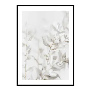 Poster Gallerix White Dried Flower