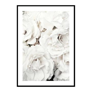 Poster Gallerix Bouquet Of White Peonies