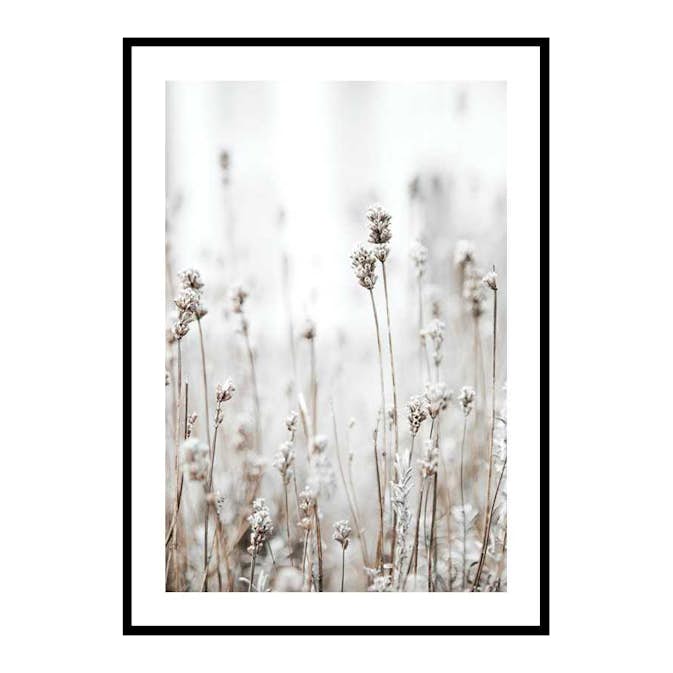 Poster Gallerix In The Wild