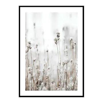 Poster Gallerix In The Wild