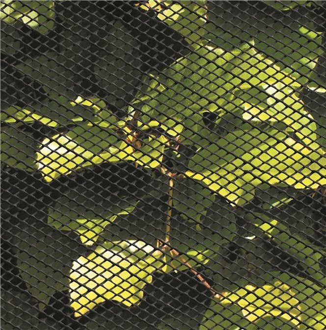 Insektsnät Hortus Plast
