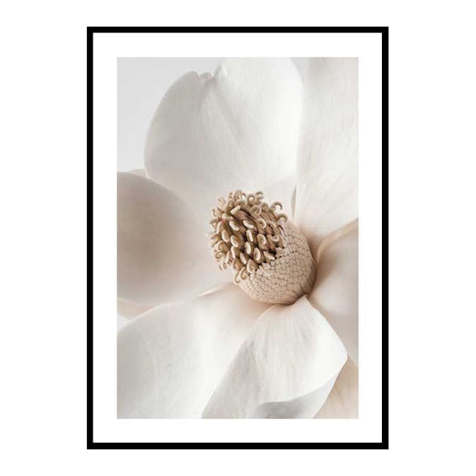 Poster Gallerix Beige Magnolia No2