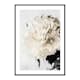 Poster Gallerix Peony Closeup