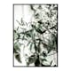 Poster Gallerix Olive Tree