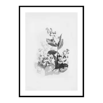 Poster Gallerix Floral arrangement No2
