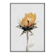 Poster Gallerix Yellow Sunflower