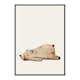 Poster Gallerix Lazy Bear