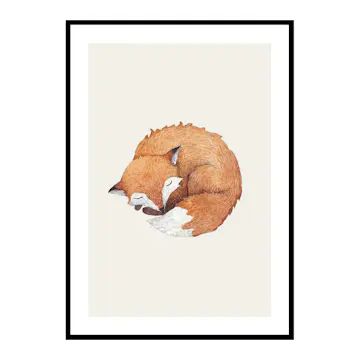 Poster Gallerix Sleeping Fox