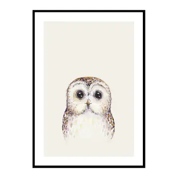 Poster Gallerix Peekaboo Owl