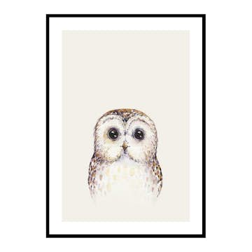Poster Gallerix Peekaboo Owl