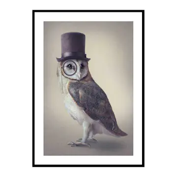 Poster Gallerix Potter Owl