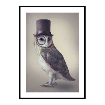Poster Gallerix Potter Owl