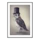 Poster Gallerix Potter Owl