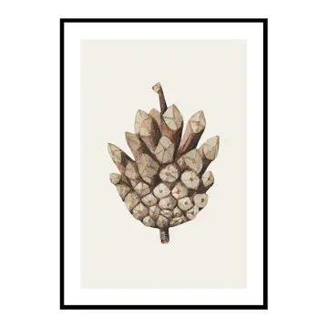 Poster Gallerix Painted Cone