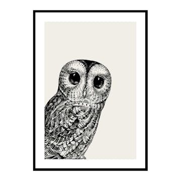 Poster Gallerix Watching owl