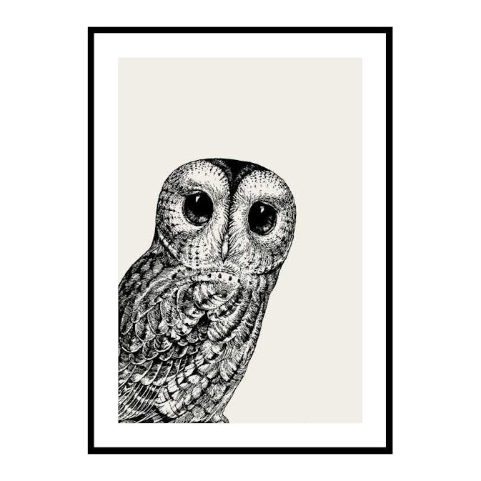 Poster Gallerix Watching owl