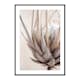 Poster Gallerix Protea Flower No2