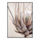 Poster Gallerix Protea Flower No2