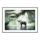Poster Gallerix Elephant In Sunlight