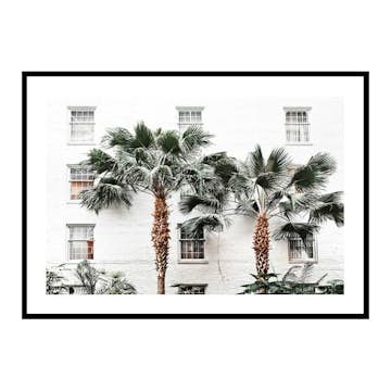 Poster Gallerix City Palms