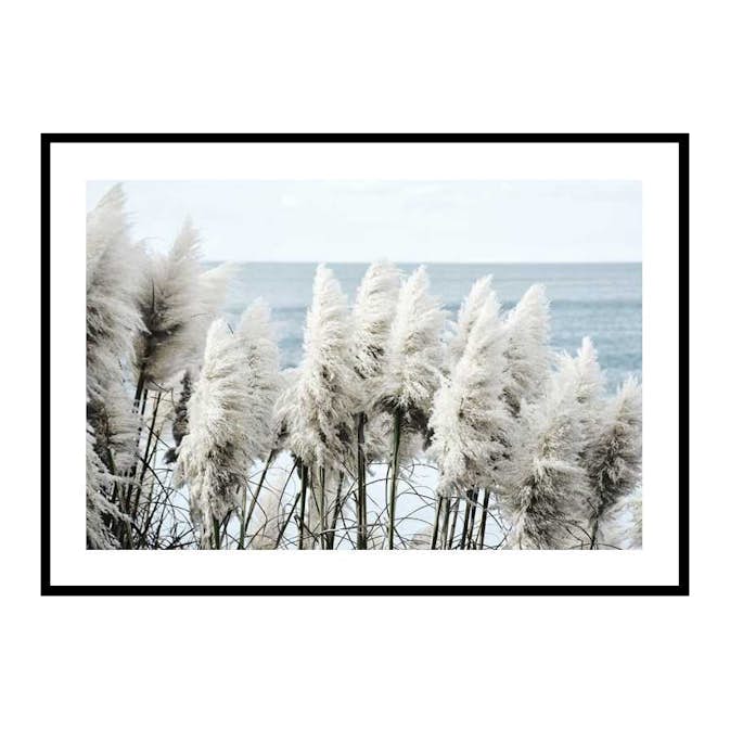 Poster Gallerix Toitoi Grass