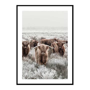 Poster Gallerix Scottish Highlanders
