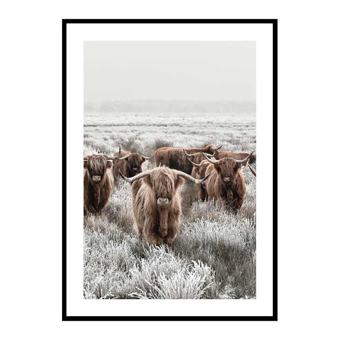 Poster Gallerix Scottish Highlanders