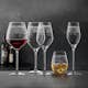 Champagneglas Spiegelau Arabesque 30 cl 2-pack