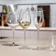 Champagneglas Spiegelau Arabesque 30 cl 2-pack