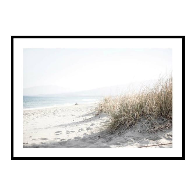 Poster Gallerix Marram Grass At Beach