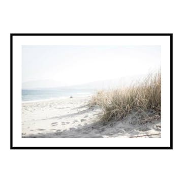 Poster Gallerix Marram Grass At Beach