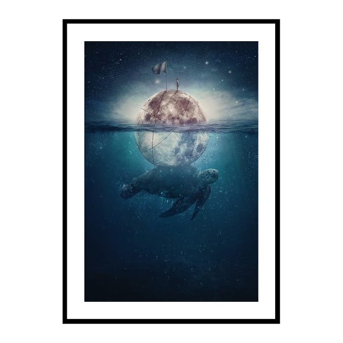 Poster Gallerix Turtle Moon