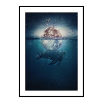 Poster Gallerix Turtle Moon