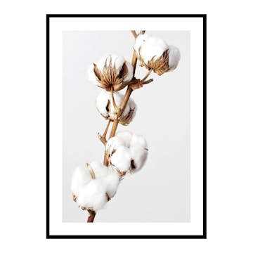 Poster Gallerix Cotton