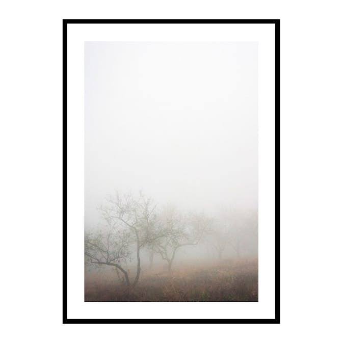 Poster Gallerix Trees In Fog