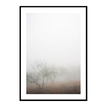 Poster Gallerix Trees In Fog