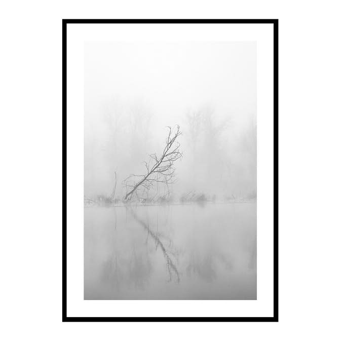 Poster Gallerix Leaning Tree