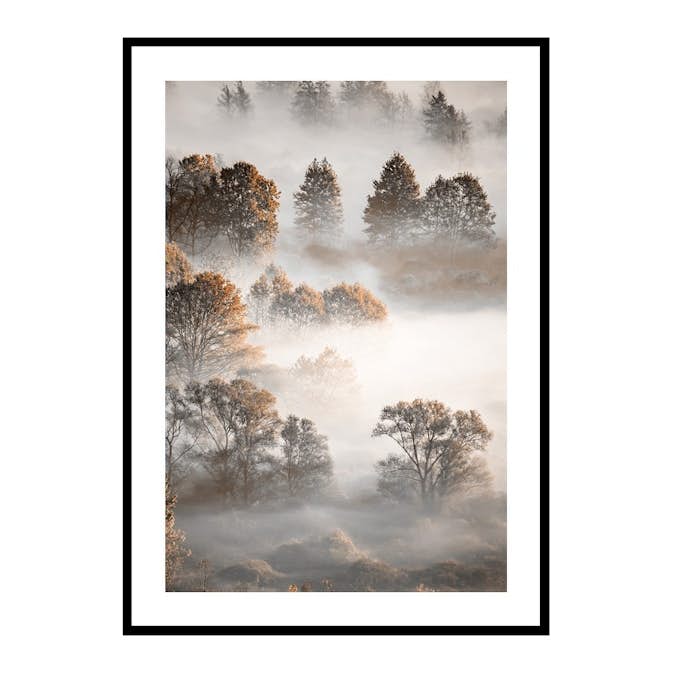 Poster Gallerix Autumn Forest
