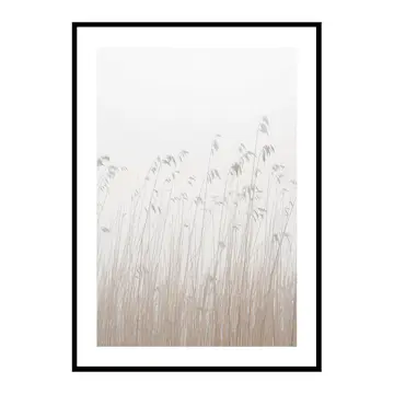Poster Gallerix Grass In Fog