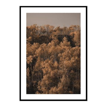 Poster Gallerix Autumn Colored