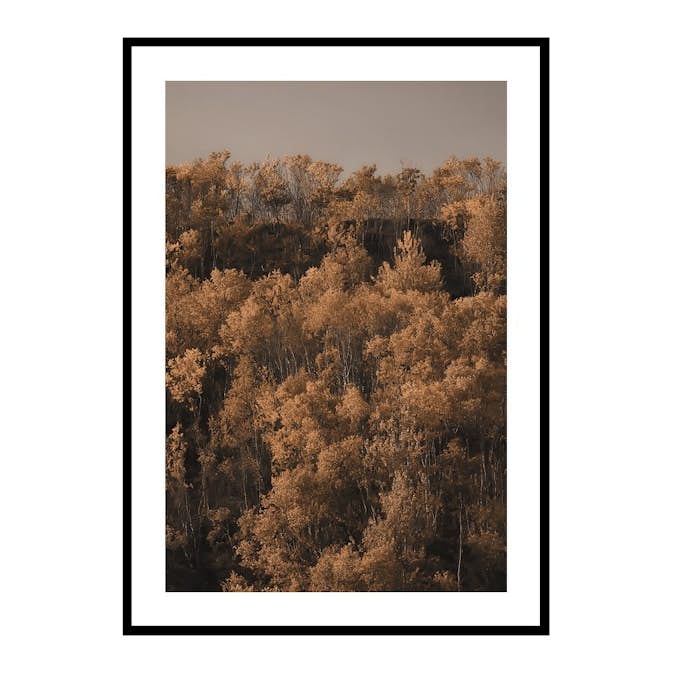 Poster Gallerix Autumn Colored