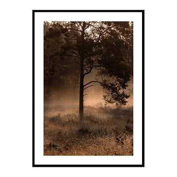 Poster Gallerix Field In Fog