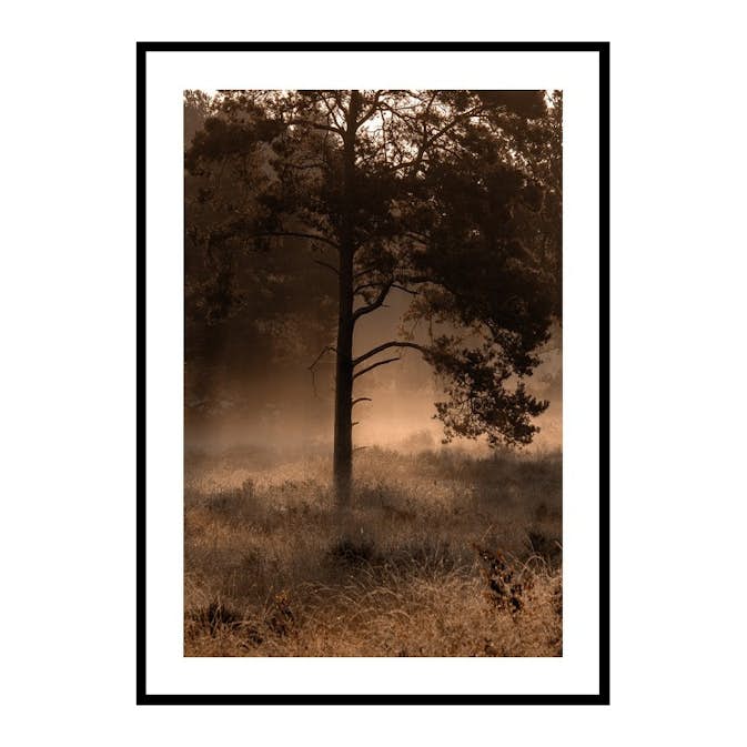 Poster Gallerix Field In Fog