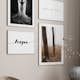 Poster Gallerix Forest Ground